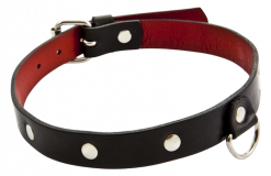 Ошейник Whips Collection Classic Collar For Her, черный - Whips Collection